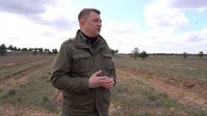 Высадка деревьев в Арчединском лесничестве в рамках акции "Сад памяти"