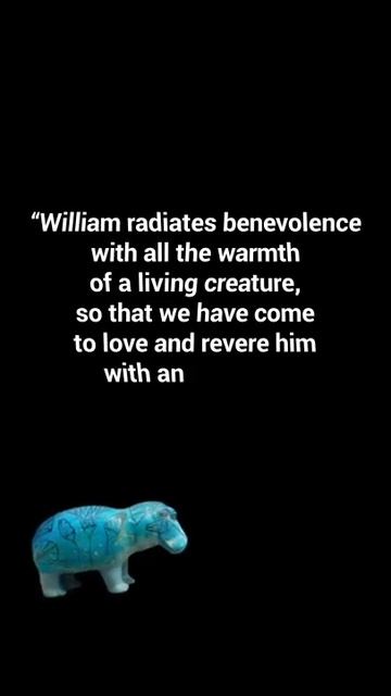 Presenting William: The Met’s unofficial mascot 🦛✨ #Shorts смотреть онлайн