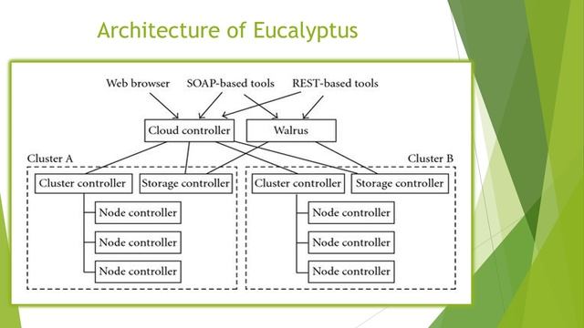 Eucalyptus смотреть онлайн
