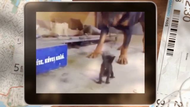 стиль Счастливая дорога смотреть онлайн