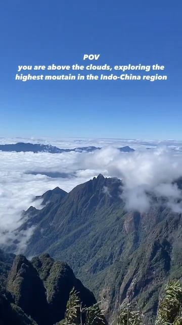 How’s that view!? #shorts #travelshorts #travel #vietnam #sapa #fansipan #views #mountain #nature смотреть онлайн