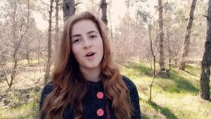 Два кольори (Дмитро Павличко) #зно2020