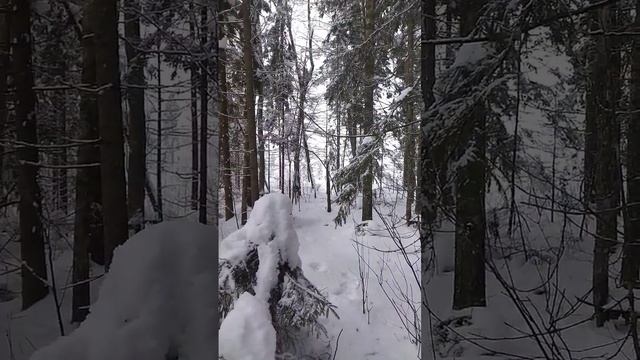 14 декабря 2023 г. смотреть онлайн