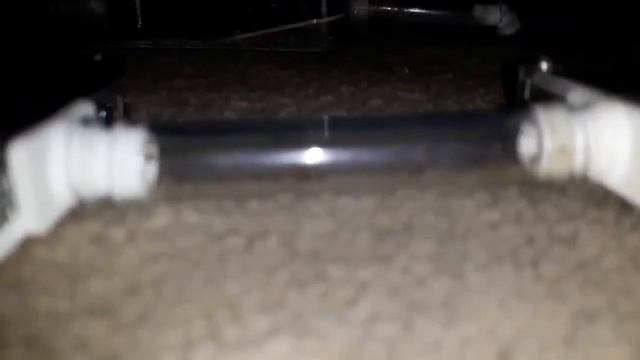 pheidole megacephala | nest upgrade