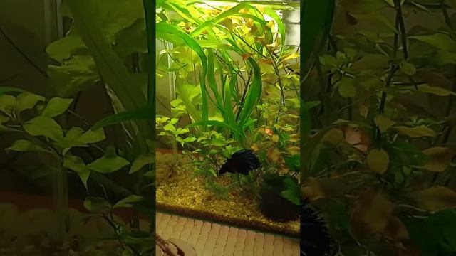 16 августа 2022 г. смотреть онлайн