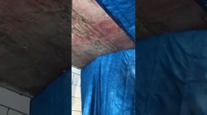 Как самому приклеить звукоизоляцию на потолок.