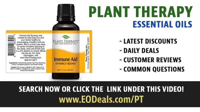 Plant Therapy Jojoba Golden Carrier Oil смотреть онлайн