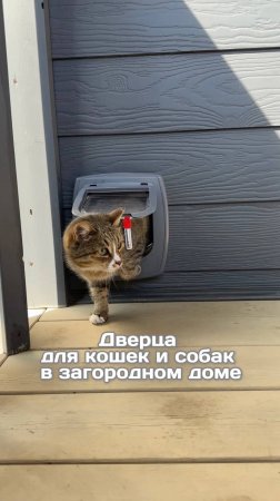 Дверца для кошек и собак в загородном доме