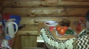 Задержание Тесленко