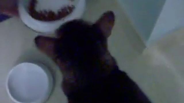 涼粉吃早餐 - http://www.maomao.hk смотреть онлайн