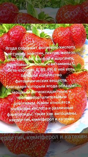 Витамины клубника