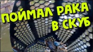 Серебряные Кресты На Металлоискатель! КОП