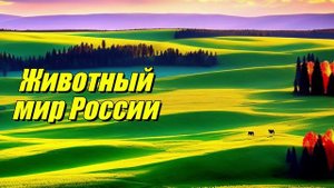 Животный мир России