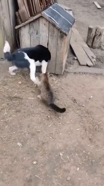 1000079760.mp4