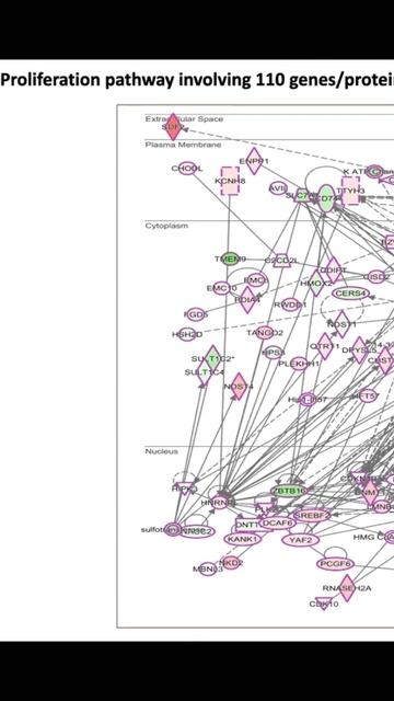 Biomechanism Of Regeneration & degeneration In Alternate Animal Models by Mohammed Idris (AMBR-2022 смотреть онлайн