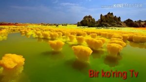 Одам ато яралгунича ер юзида кимлар булгани...