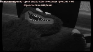 Проверка монтажа. видео5999