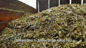 Кормоуборочный комбайн F1300 - новый уровень кормозаготовки