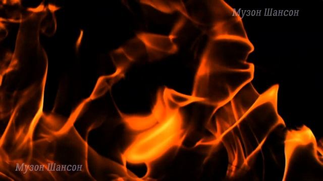 СБОРНИК ШАНСОНА ПОД ШАШЛЫЧОК 6,COLLECTION OF CHANSON UNDER THE SKEWER 6