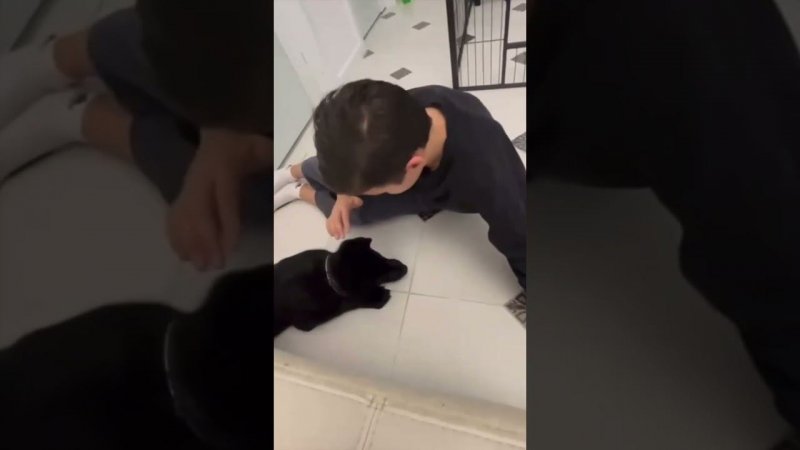 Какие важные слова говорит юный хозяин своему четвероногому другу, сыночку ЦЕРО ФОМ РУССИШЕН АМИРУ