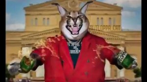 фонк и шлёпа