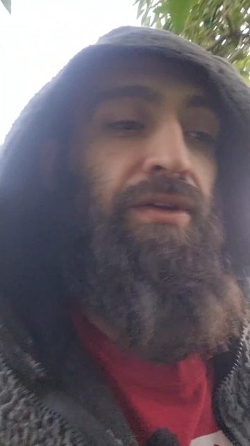 El Chincol #avesdechile #shorts #chincol #birds #hombrepajaro смотреть онлайн