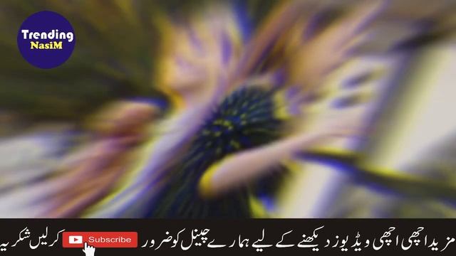Brother And Sister Emotional Video Gona Viral In Karachi | Trending Nasim