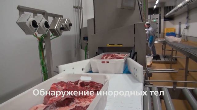 Сортировка тримминга по жирности используя показания MeatMaster2. Danish Crown, Дания смотреть онлайн