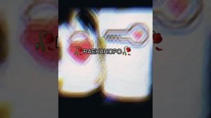 👑цыганская👑песня мой диги диги шалала🖤