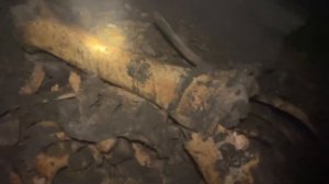 КОСТИ МАМОНТА В ВЕЧНОЙ МЕРЗЛОТЕ, НАЧАЛО СЕЗОНА 2024. БИВНИ МАМОНТА