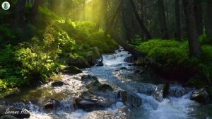 Soothing ,Restores The Nervous System🌿Stop Overthinking, Stress Relief Music, Sleep Music #3