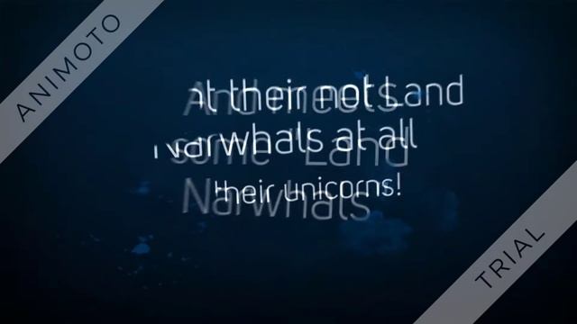 Not Quit Narwhal смотреть онлайн