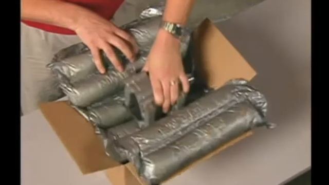 SpeedyPaker Insight смотреть онлайн