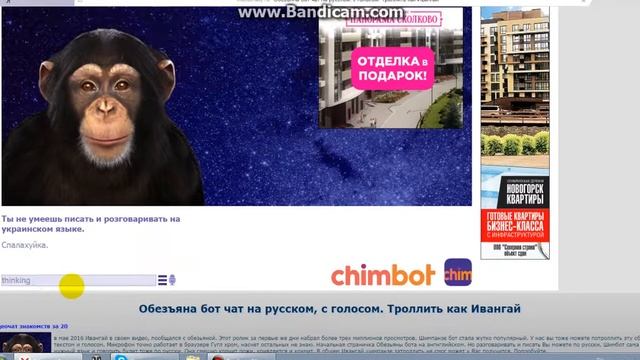 бот обезьяна смотреть онлайн