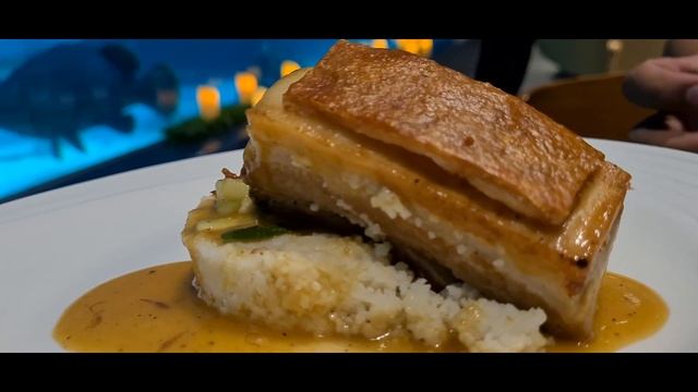 AQUA DINING IN CEBU OCEAN PARK | ANTUY PALABOY