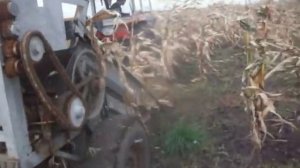Суперкомбайн    самодельный  для уборки кукурузы