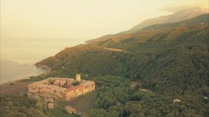 Упадок духовности на Афоне