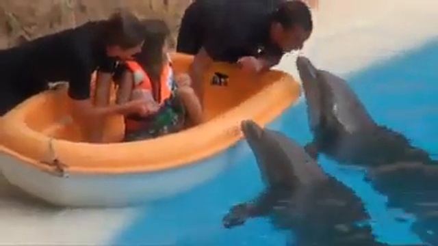 Odam va delfin òyini смотреть онлайн