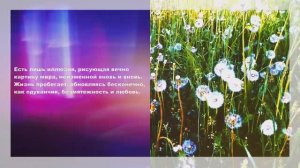 О СЧАСТЬЕ / Автор и исполнитель песни – Алексей Заричный / (2017)