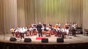 Динику. "Жаворонок" соло на ксилофоне