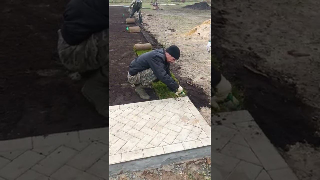 Укладка рулонного газона в ➡ режиме реального времени⏰.