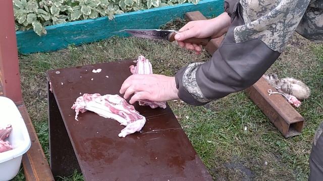 Охотничий нож хазар | Разделка барана | Рубка костей