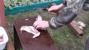 Охотничий нож хазар | Разделка барана | Рубка костей