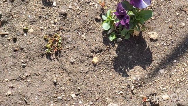 Весенние зарисовки. 8 Марта в Happy смотреть онлайн