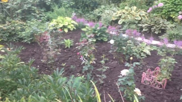 Мое 08.08.21. Длинные выходные закончились 😍😜😋 смотреть онлайн