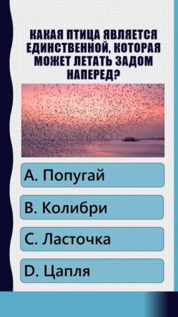 Хочу Все Знать! n+1