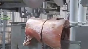 Автоматическая линия разделки туши свинины!!! Китай впереди всех!!!