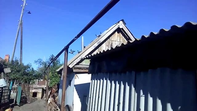 Голуби и голубятня смотреть онлайн