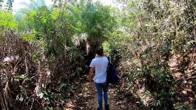 Madagascar ~ Nosy Be смотреть онлайн