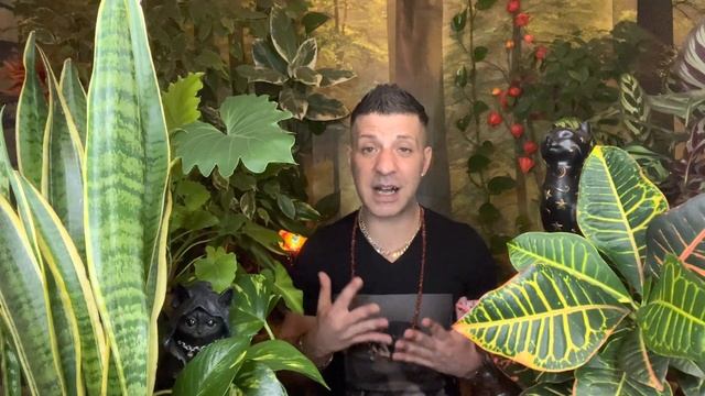 LIBRA ♎️ YOU WILL HAVE SOME AMAZING NEWS THIS MONTH!! - Libra Horoscope Tarot February 2023